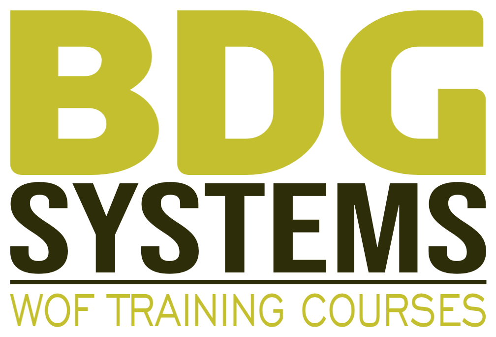 BDG Systems Ltd